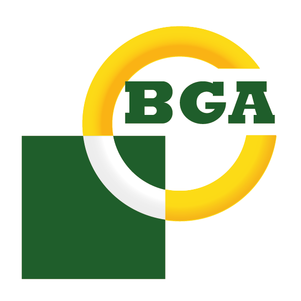 BG Automotive Logo Full Colour